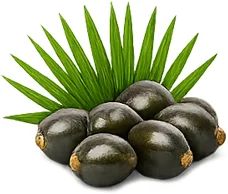 {{OFFER_NAME}} — экстракт плодов со пальметто (Serenoa repens)