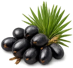 {{OFFER_NAME}} — экстракт плодов со пальметто (Serenoa repens)